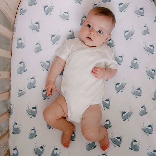 Mister Fly Whale Jersey Cot Sheet